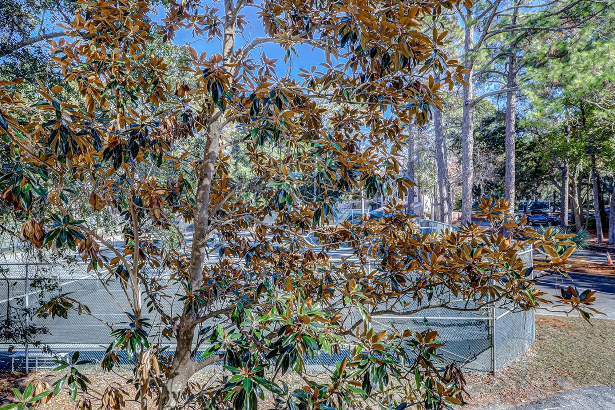 Fiddlers Cove Villa Hilton Head Island Rum bild